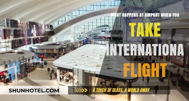 Navigating International Flights: A Step-by-Step Airport Experience Guide