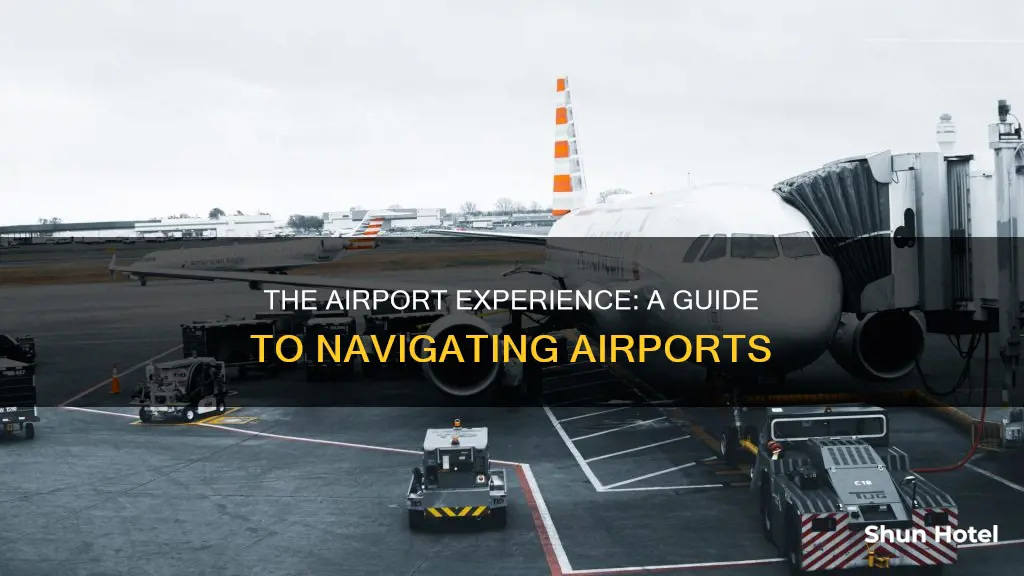 what happens at an airport book