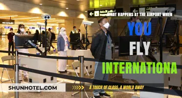 Navigating International Flights: Airport Procedures and What to Expect