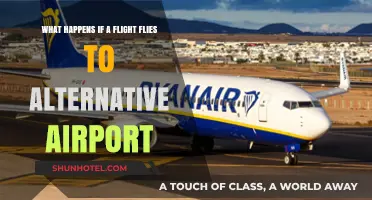 Flight Diverted: What Happens When Planes Land at Alternative Airports?