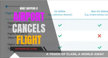 Unexpected Flight Cancellation: Your Rights and Next Steps