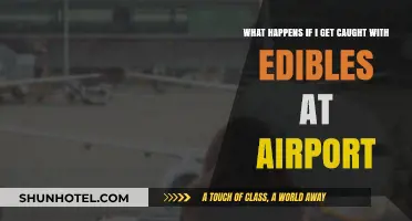 Caught with Edibles at the Airport: Legal Consequences and Travel Risks