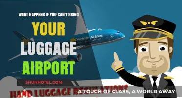 Lost Luggage: What to Do at the Airport