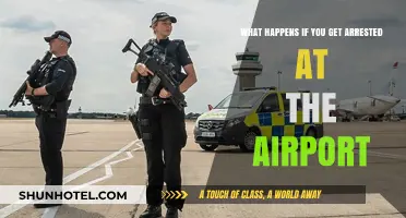 Arrested at the Airport: Understanding Legal Consequences and Immediate Steps