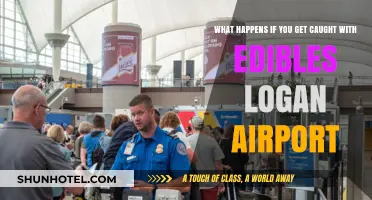 Caught with Edibles at Logan Airport: Consequences and Legal Risks