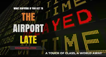 Late to the Airport? Consequences and Tips to Avoid Missed Flights