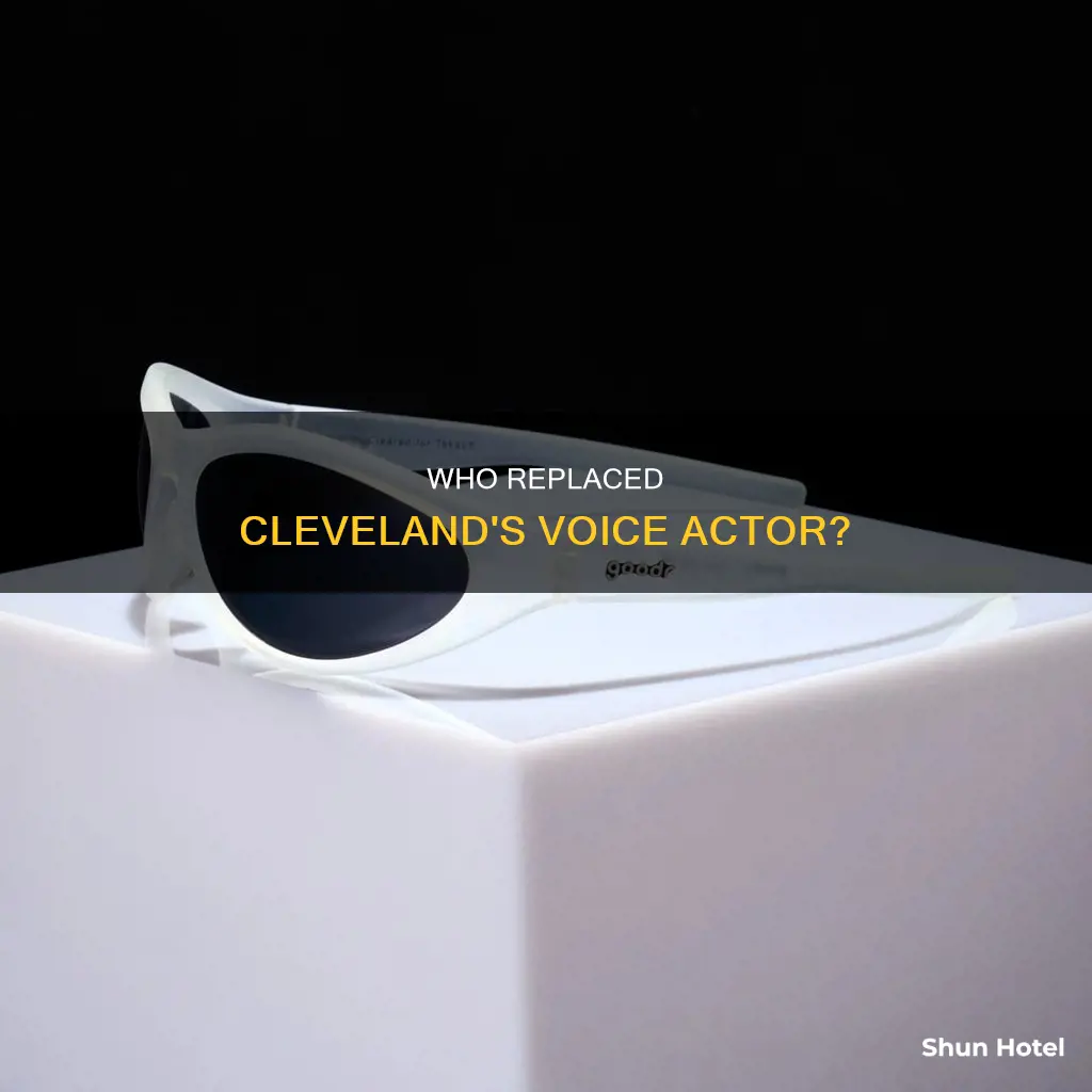 what happens later airport voice actor
