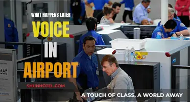 Voice Technology: Transforming Airport Experiences