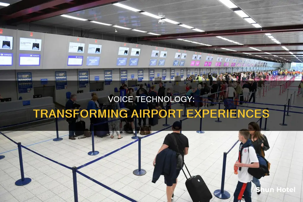 what happens later voice in airport