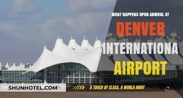 Navigating Denver International Airport: Your Arrival Experience Simplified
