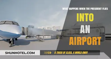 Presidential Arrival: Airport Protocols and Security Measures Explained