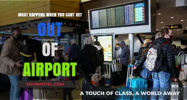 Stranded at the Airport: Navigating Unexpected Layovers and Delays
