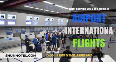 Navigating International Airport Check-Ins: A Step-by-Step Guide