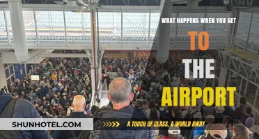 Navigating Airport Chaos: What to Expect Upon Arrival