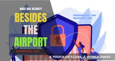 Security Beyond the Airport: Where Else is it Needed?