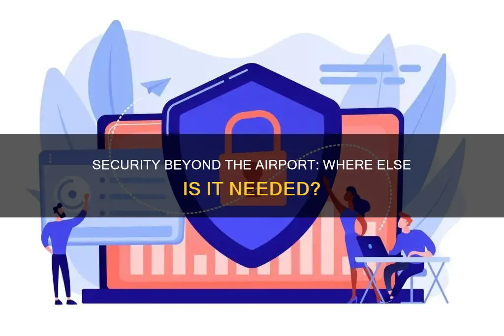 what has security besides the airport