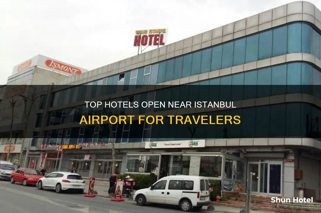 what hotel are open near istanbul airport