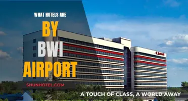 Hotels Near BWI Airport: Top Picks
