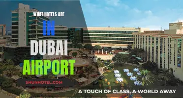 Hotels Inside Dubai Airport: The Ultimate Guide