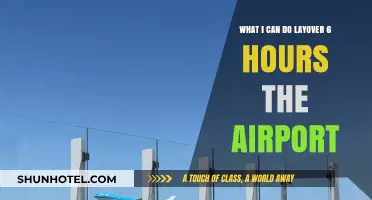 Exploring Beyond the Airport During a Long Layover