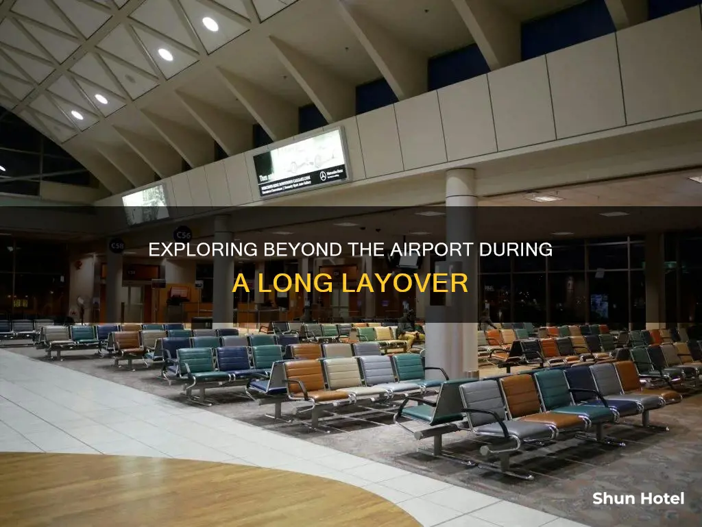 what i can do layover 6 hours the airport