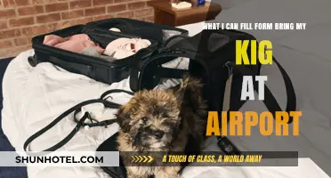 Airports and Kids: What Forms Do I Need?