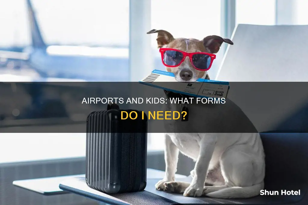 what i can fill form bring my kig at airport