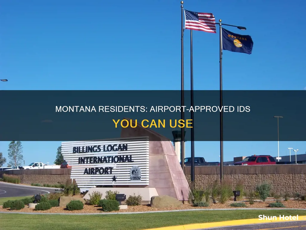 what id can a montana resident use at a airport