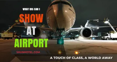 Air Travel: Which IDs are Accepted?