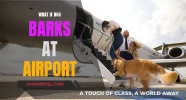 How to Calm Your Barking Dog at the Airport