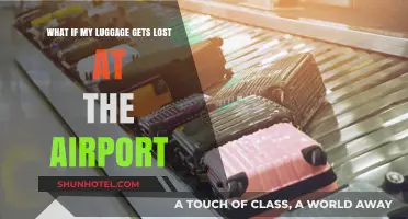 Lost Luggage at the Airport: What to Do and How to Cope