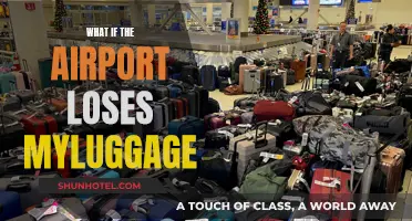 A Traveler's Worst Nightmare: Lost Luggage and What to Do