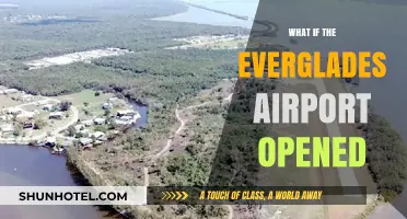 Everglades Airport: Transforming Florida's Ecosystem and Economy – What If?