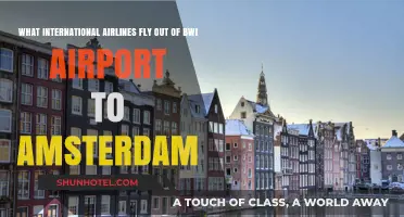 International Airlines Connecting BWI Airport to Amsterdam: Your Travel Guide