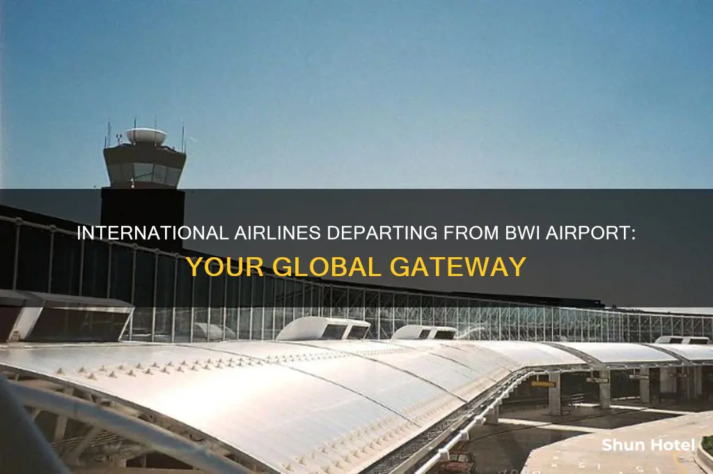 what international airlines fly out of bwi airport