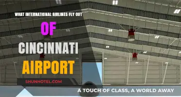 Cincinnati Airport's International Airlines: Your Gateway to Global Destinations
