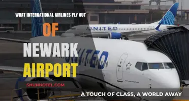 Explore Global Destinations: International Airlines Operating from Newark Airport