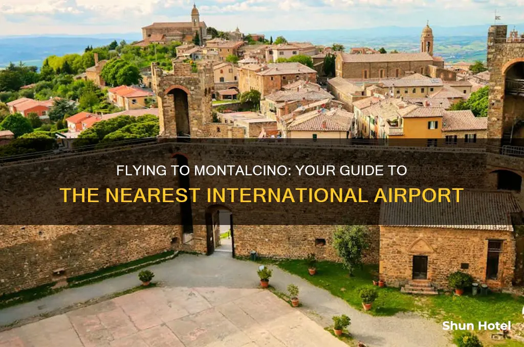 what international airport do you fly into for montalcino italy