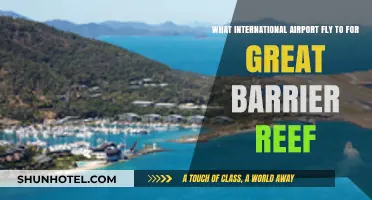 Top International Airports for Easy Access to the Great Barrier Reef