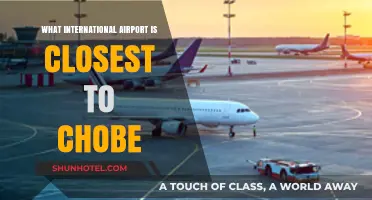 Closest International Airport to Chobe National Park: A Travel Guide