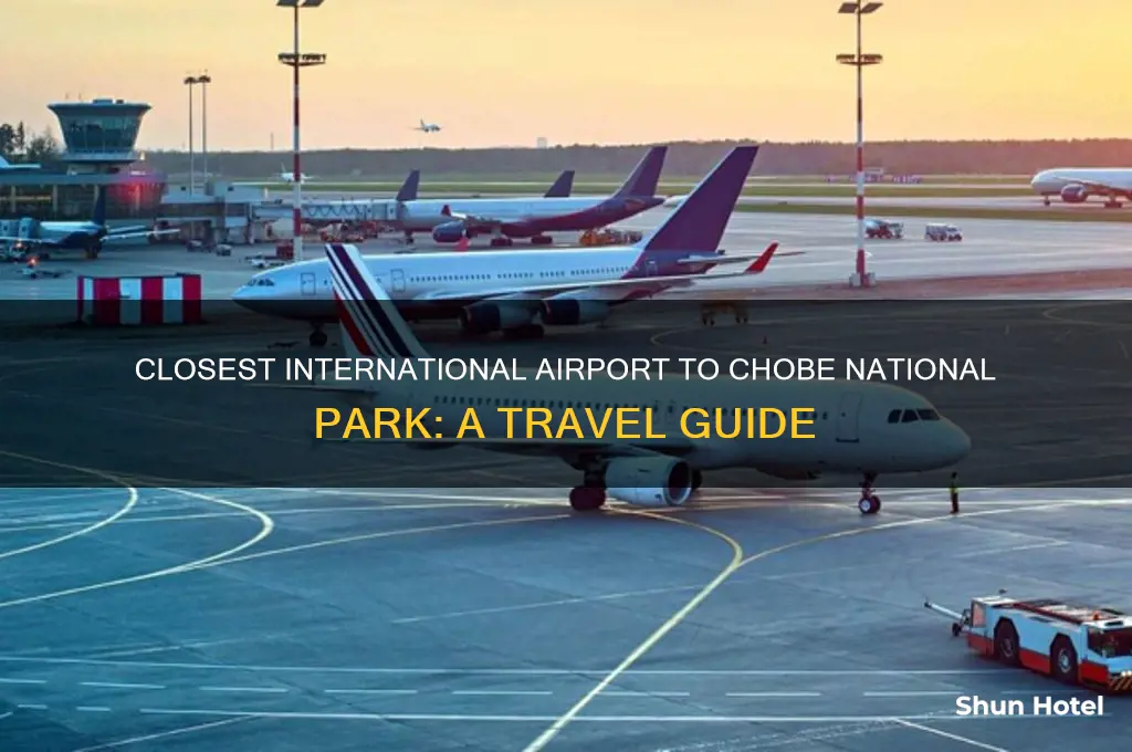 what international airport is closest to chobe