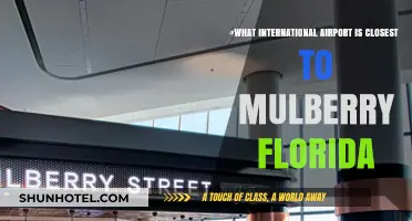 Closest International Airport to Mulberry, Florida: A Quick Travel Guide