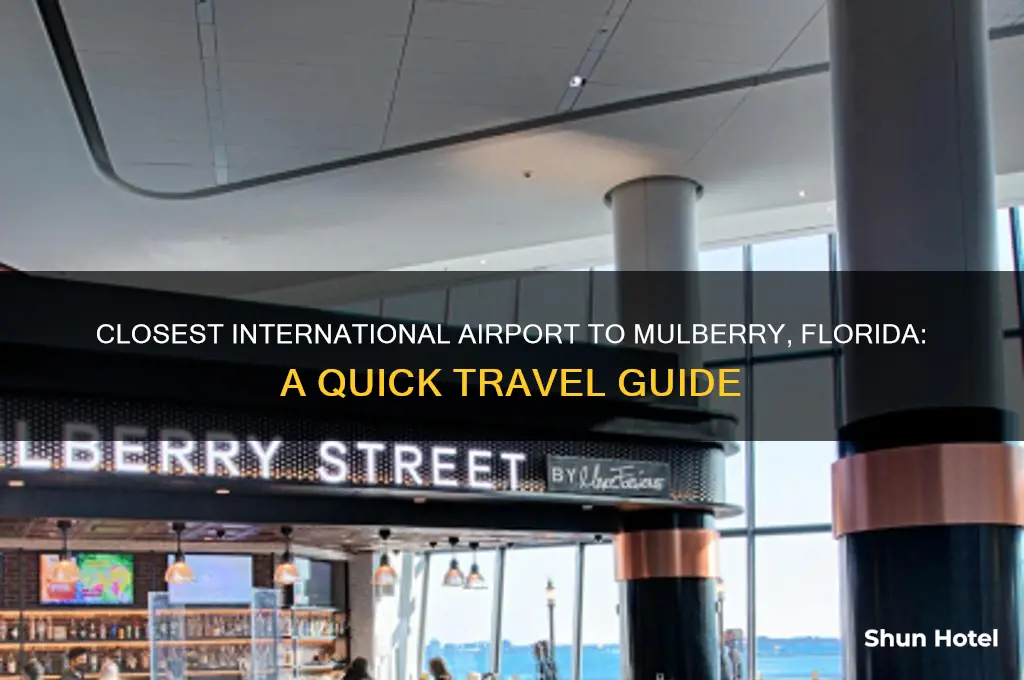 what international airport is closest to mulberry florida