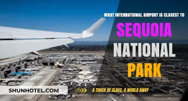 Closest International Airport to Sequoia National Park: A Travel Guide