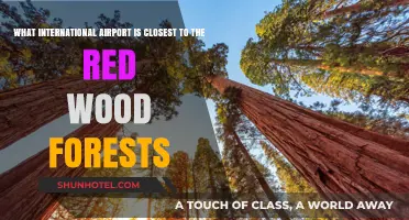 Closest International Airport to the Majestic Redwood Forests: A Travel Guide