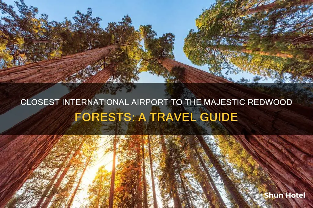 what international airport is closest to the red wood forests