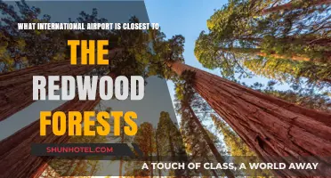 Closest International Airport to the Majestic Redwood Forests Revealed