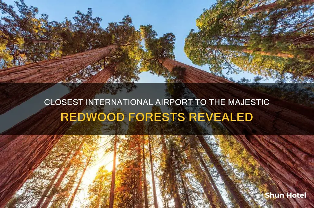 what international airport is closest to the redwood forests
