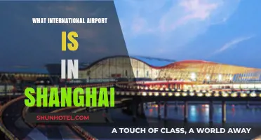 Discover Shanghai's Main International Airport: A Comprehensive Guide
