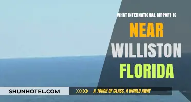 Closest International Airport to Williston, Florida: A Quick Travel Guide